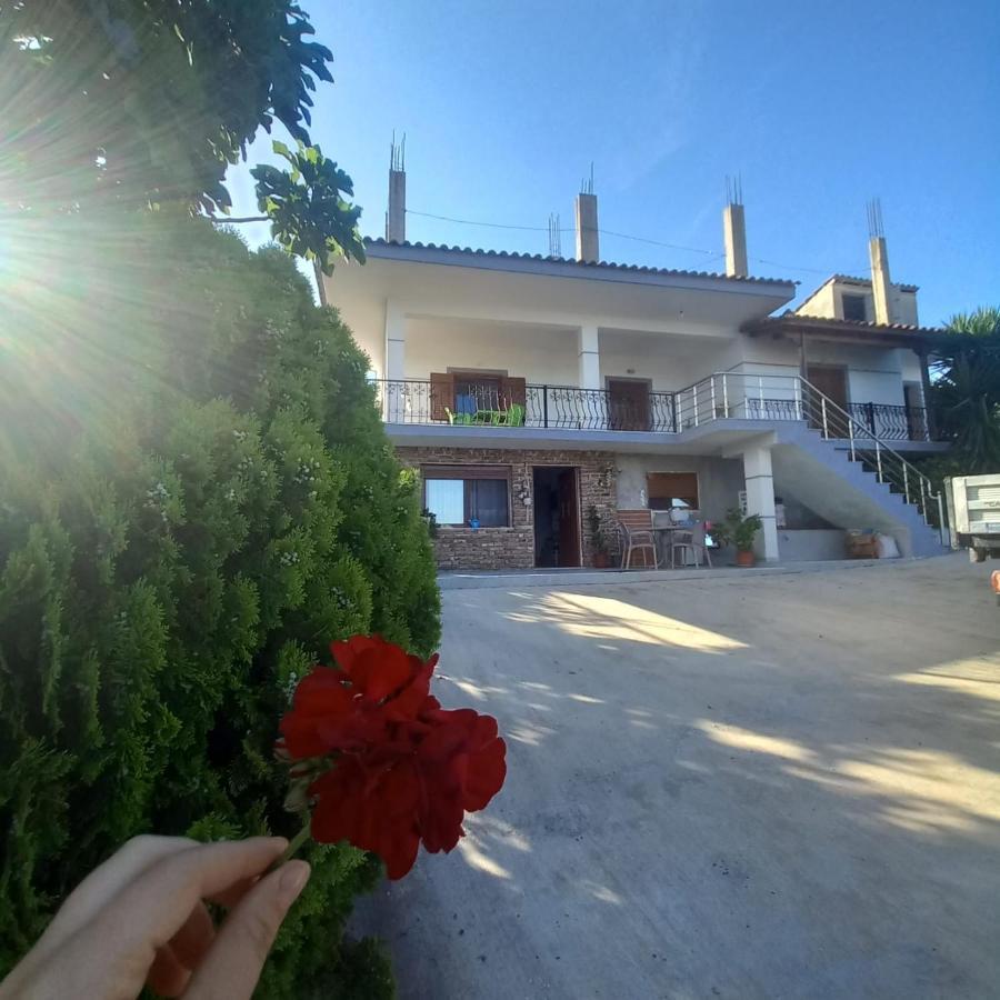 Pasha Vakantiehuis